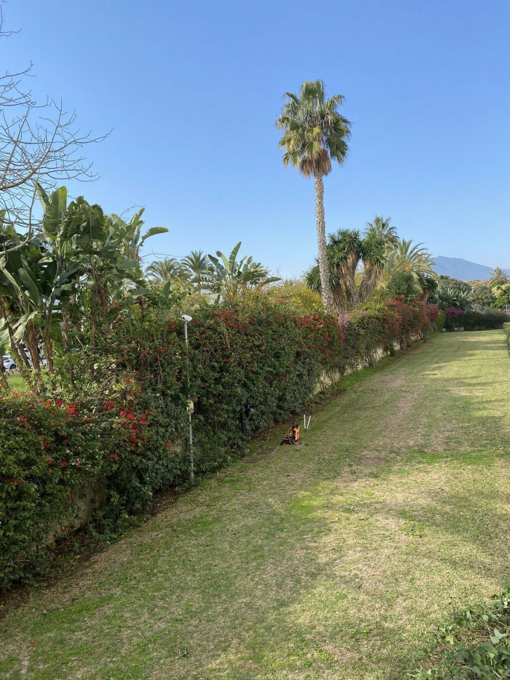 Ground Floor Apartment Puerto Banús Málaga - image 18