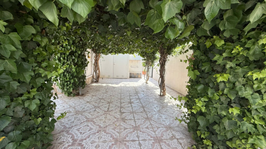 Detached Villa Torrevieja Alicante - image 21