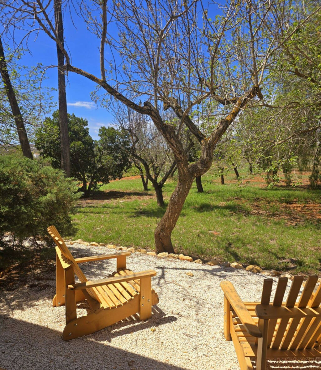 Finca - Cortijo Senija Alicante - image 21