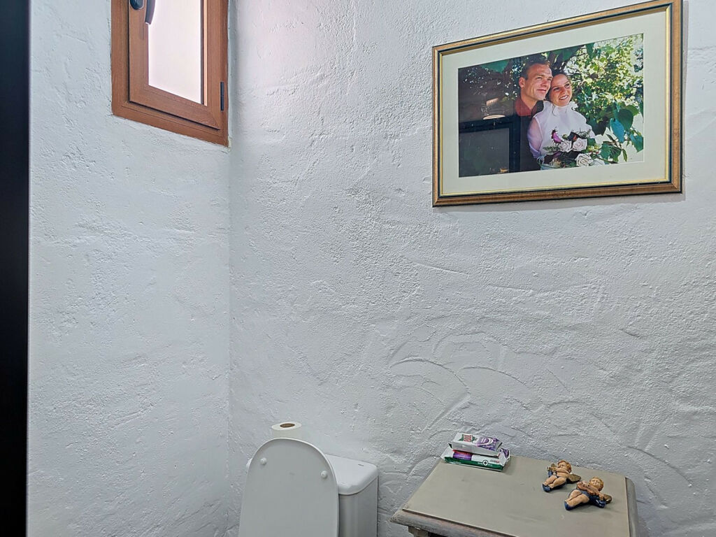 Detached Villa Riogordo Málaga - image 21