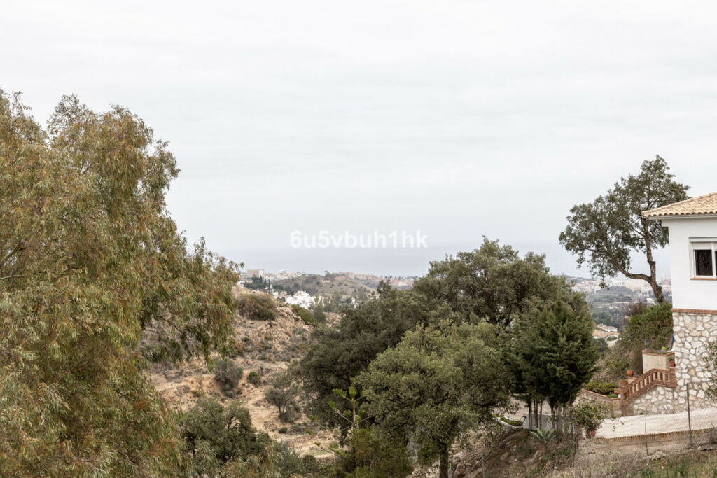 Detached Villa Mijas Málaga - image 22