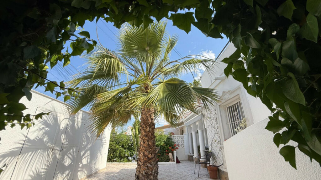 Detached Villa Torrevieja Alicante - image 22