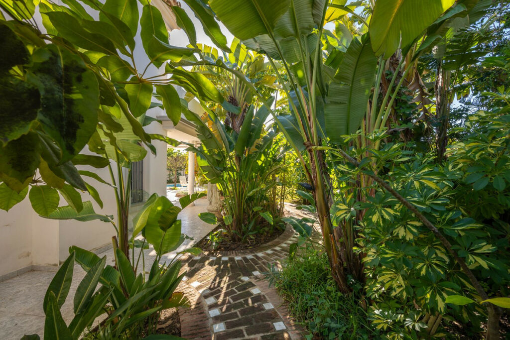 Detached Villa Marbesa Málaga - image 23