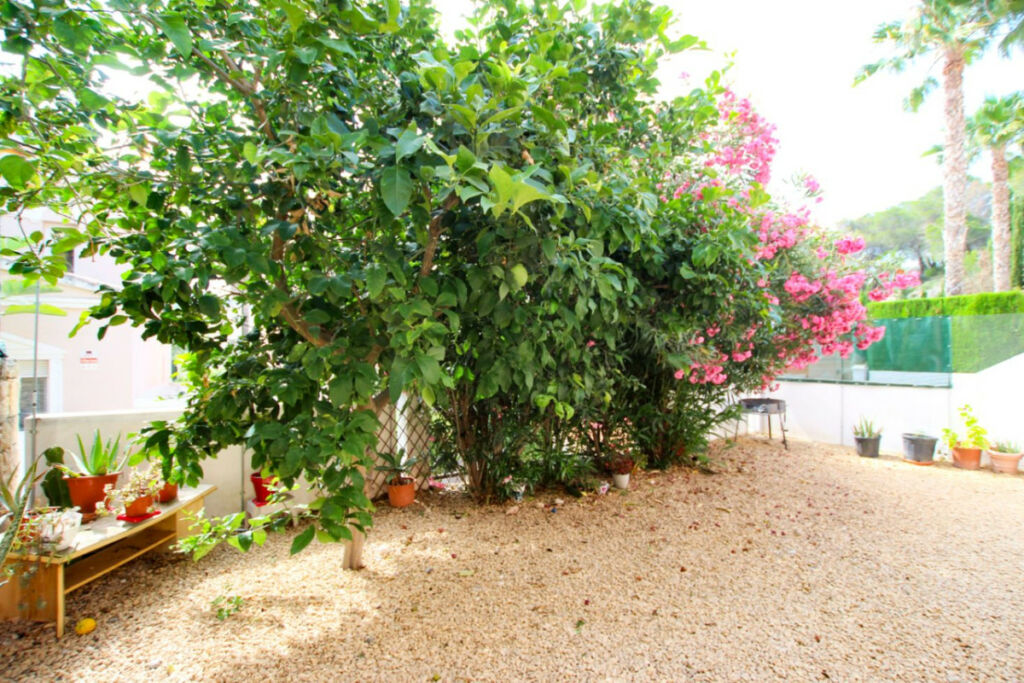 Bungalow Calpe Alicante - image 23