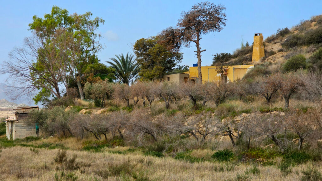 Finca - Cortijo El Cocon Murcia - image 24