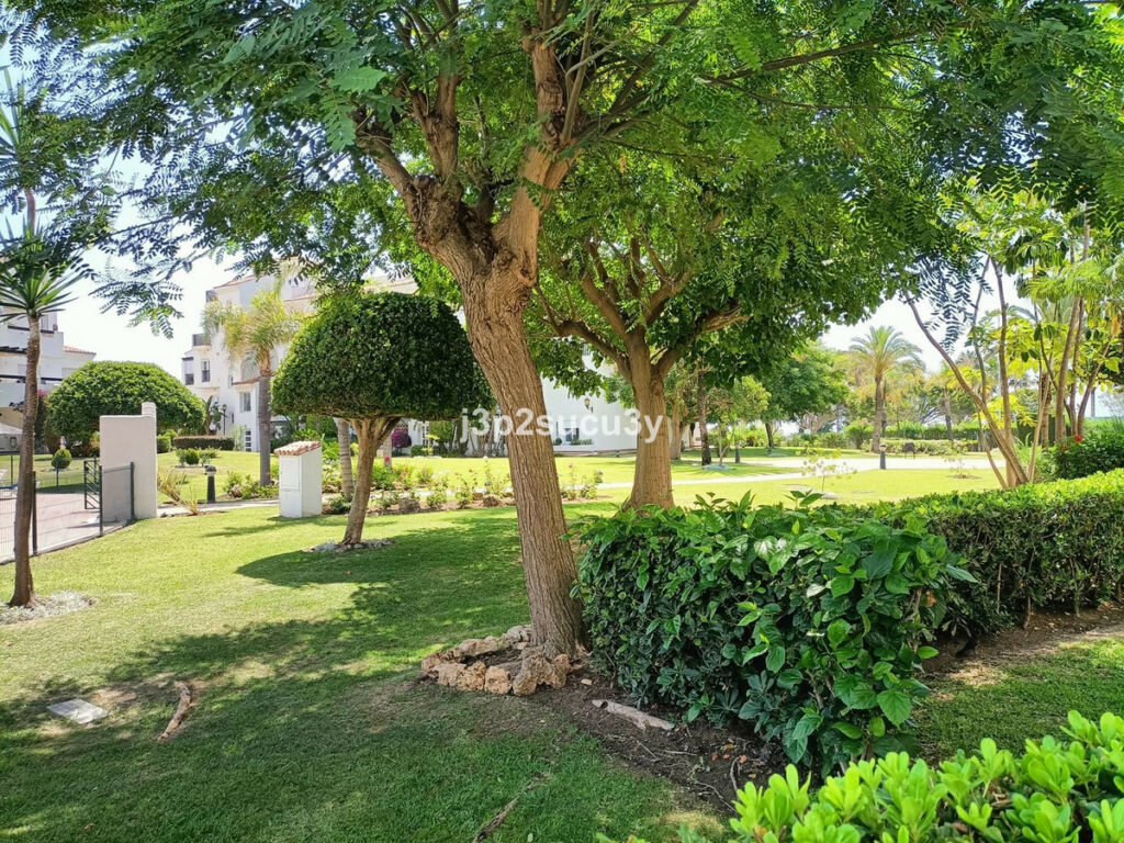 Ground Floor Apartment San Pedro de Alcántara Málaga - image 25