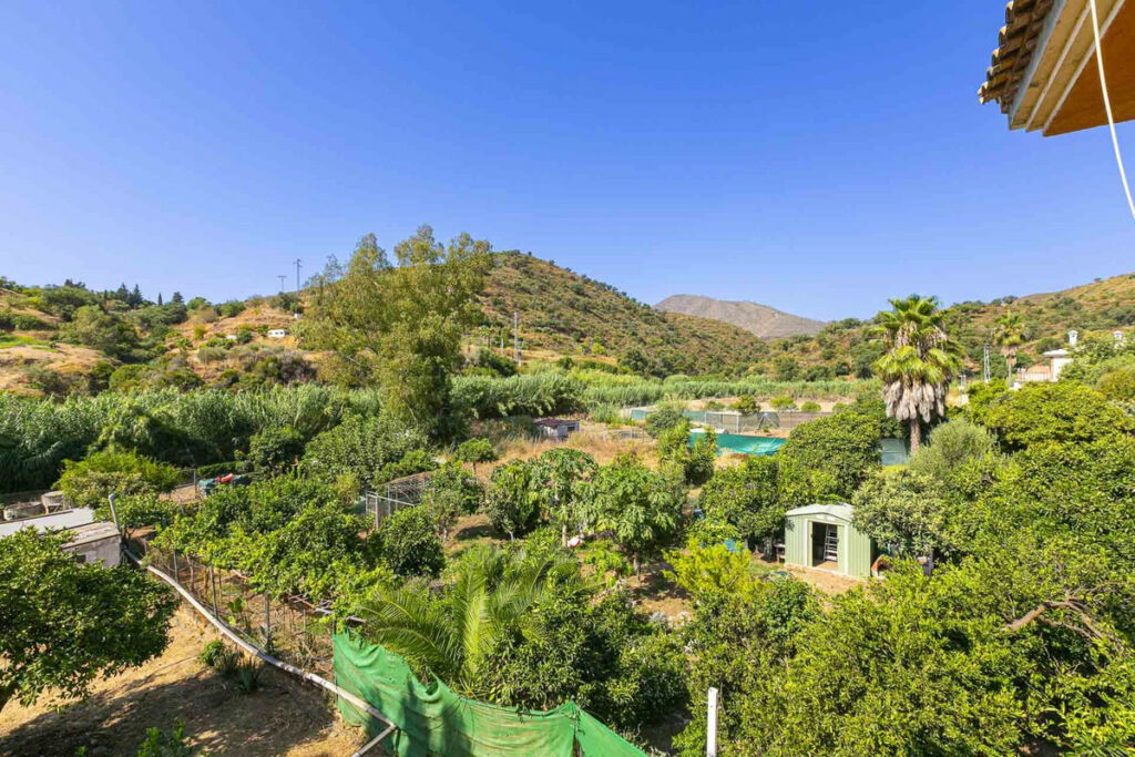 Detached Villa Mijas Málaga - image 26