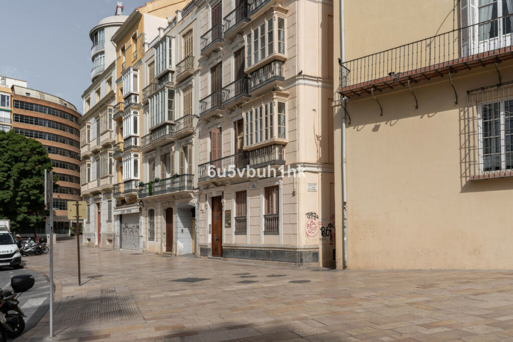 Ground Floor Apartment Málaga Málaga - image 26