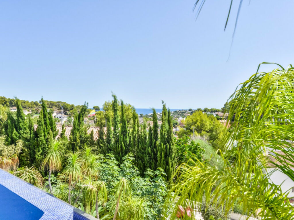 Detached Villa La Fustera Alicante - image 26