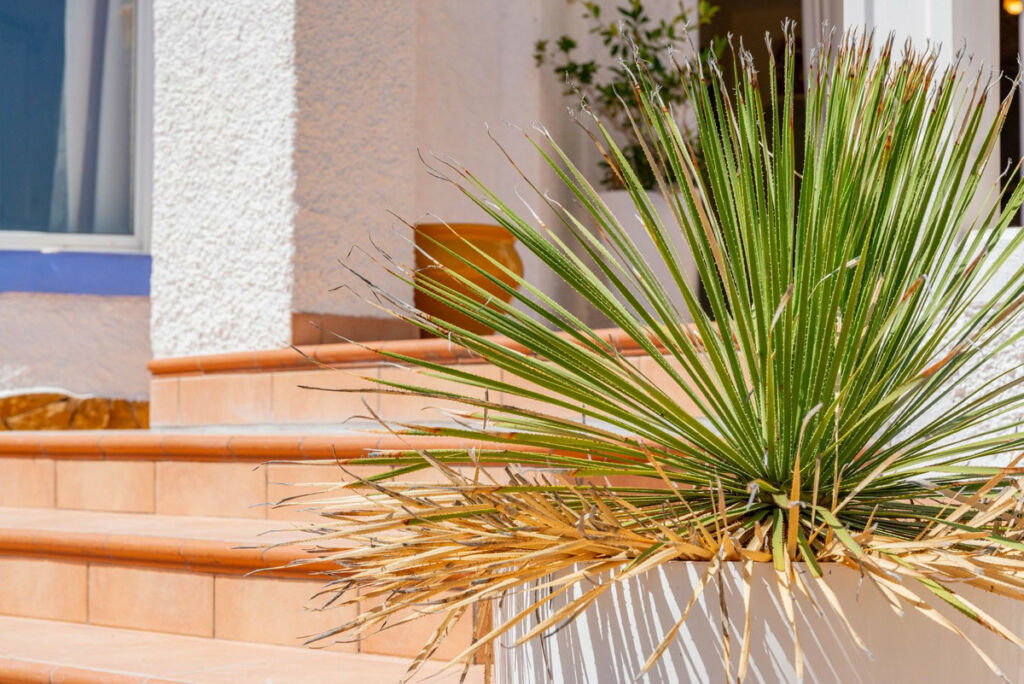 Detached Villa El Campello Alicante - image 26