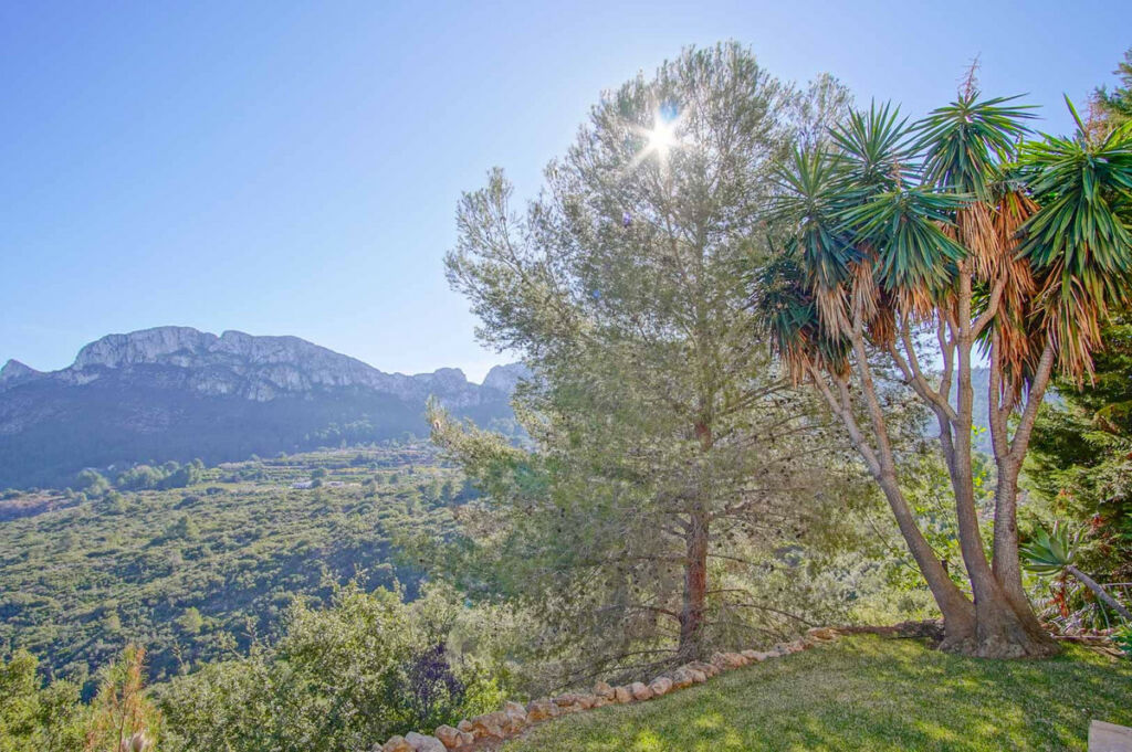 Detached Villa Pego Alicante - image 27