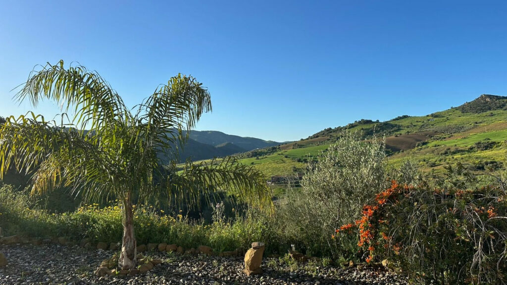 Detached Villa Alora Málaga - image 27