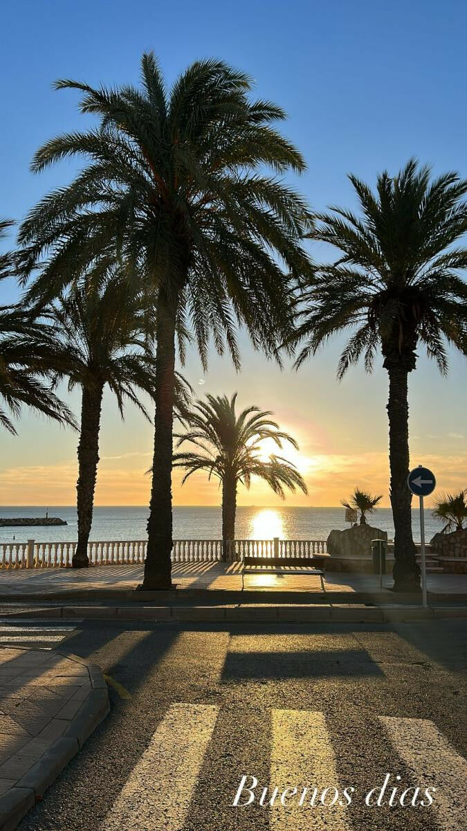Ground Floor Apartment Torre de la Horadada Alicante - image 27