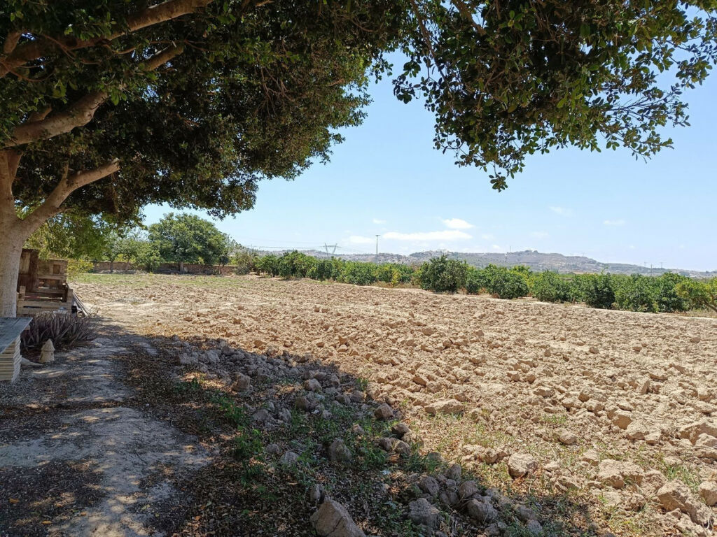 Finca - Cortijo Daya Vieja Alicante - image 28