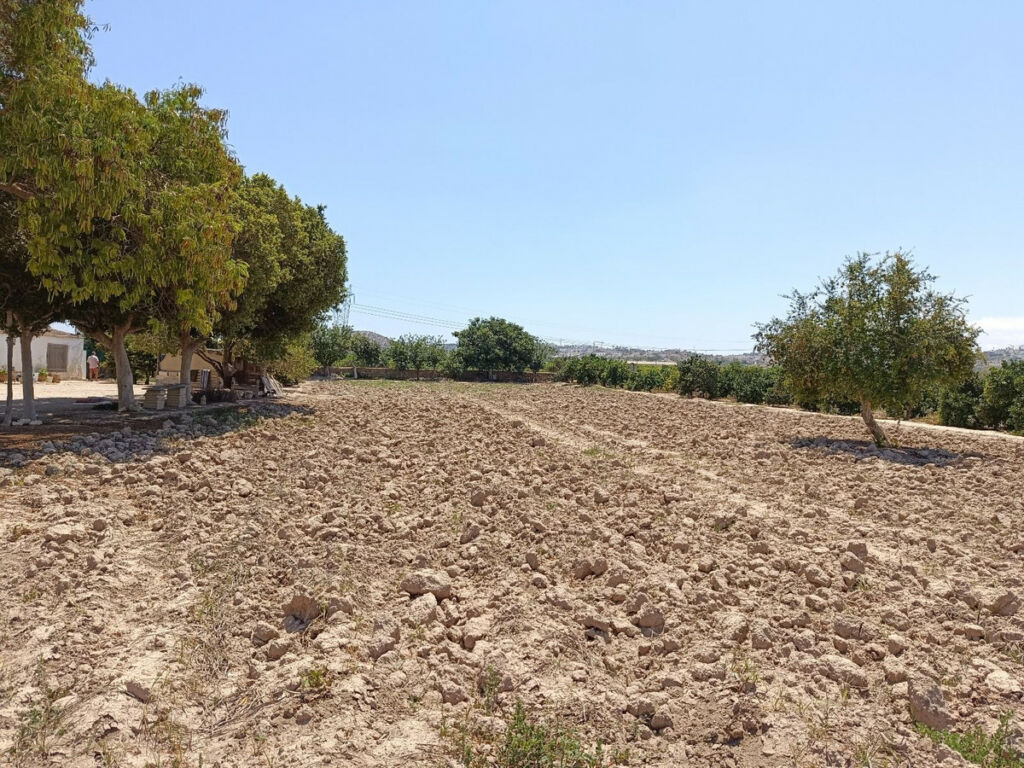 Finca - Cortijo Daya Vieja Alicante - image 29