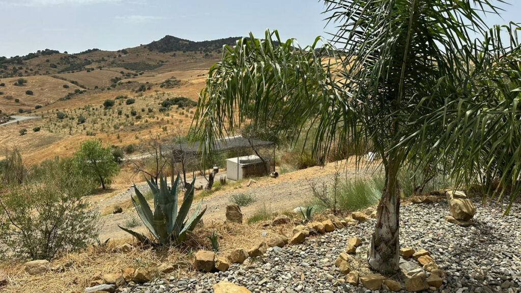 Detached Villa Alora Málaga - image 29