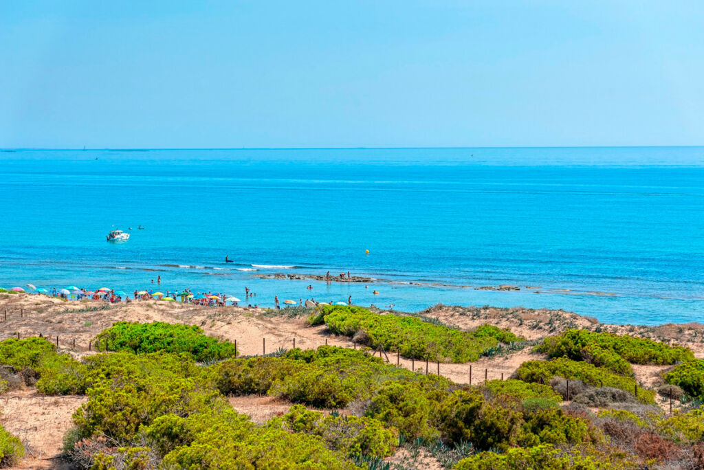 Penthouse La Mata Alicante - image 29