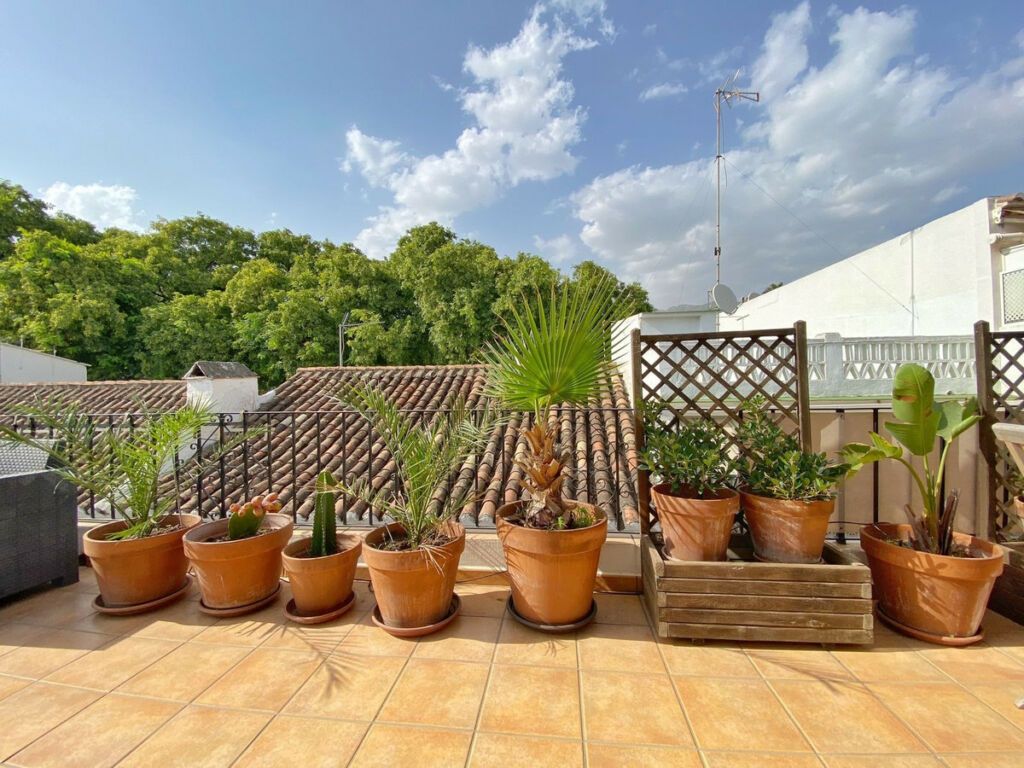 Top Floor Apartment Marbella Málaga - image 32