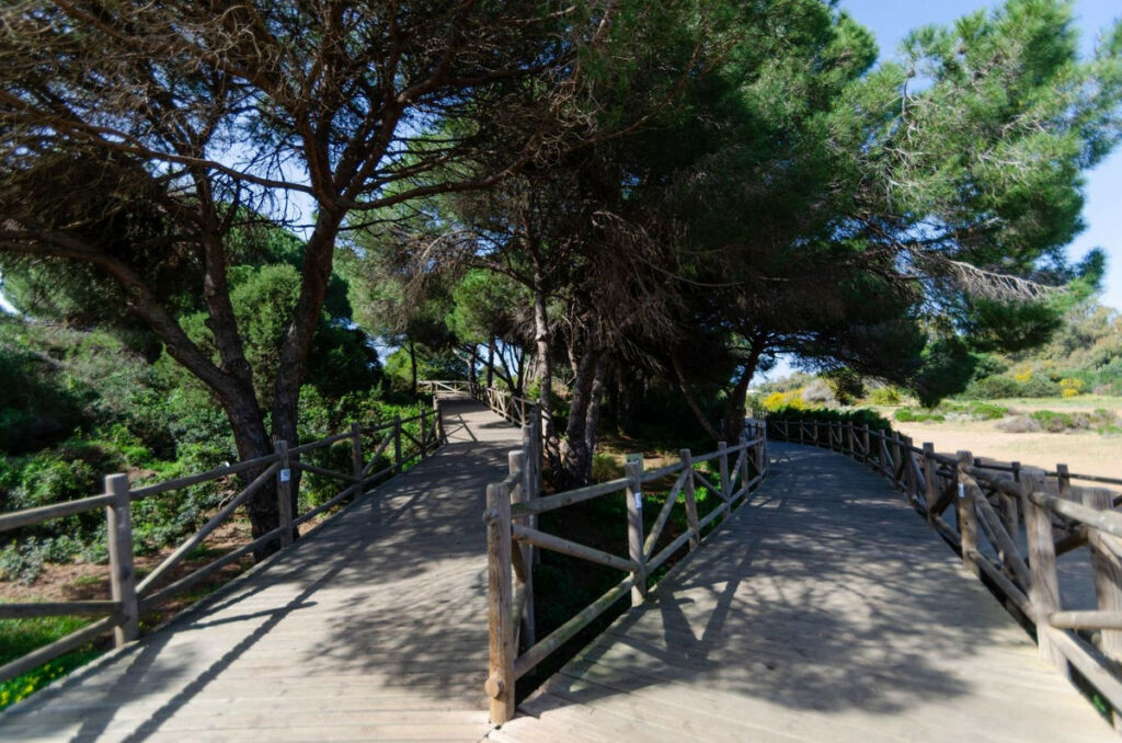 Middle Floor Apartment Marbella Málaga - image 29