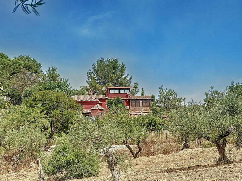 Finca - Cortijo Monda Málaga - image 3