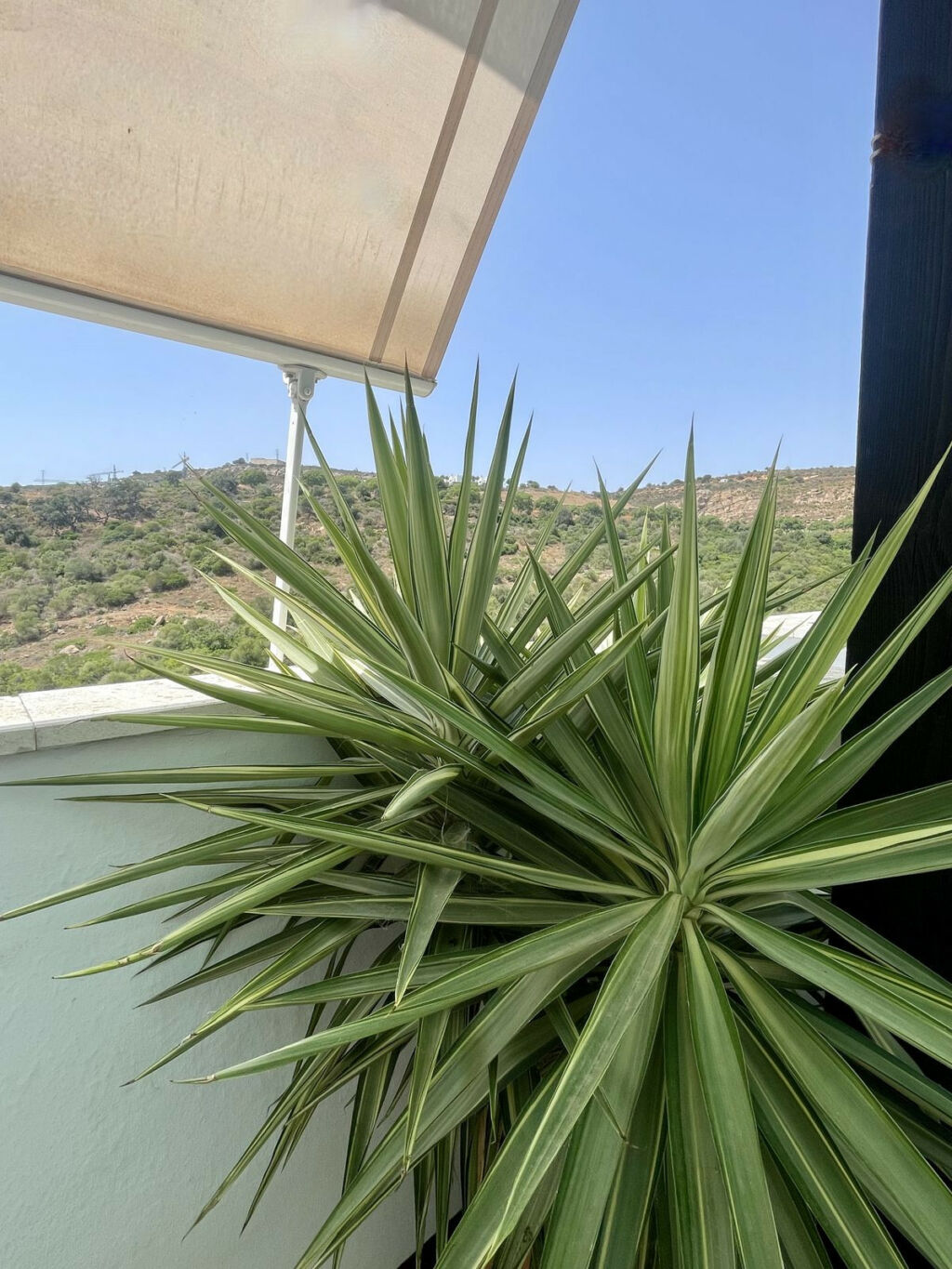 Penthouse Manilva Málaga - image 3
