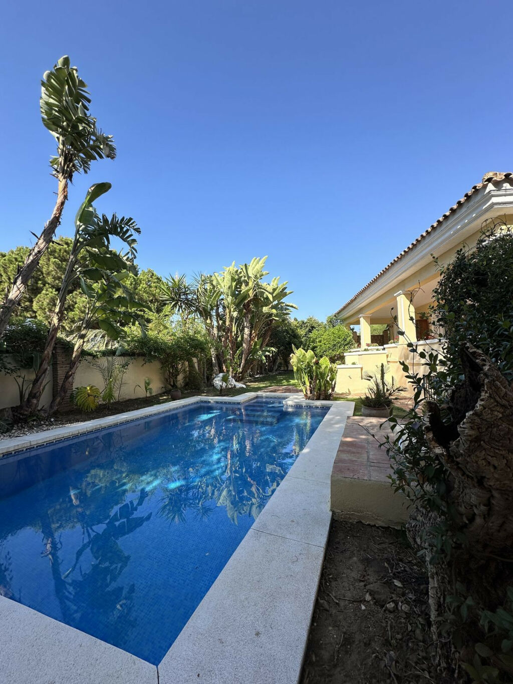 Detached Villa Elviria Málaga - image 3