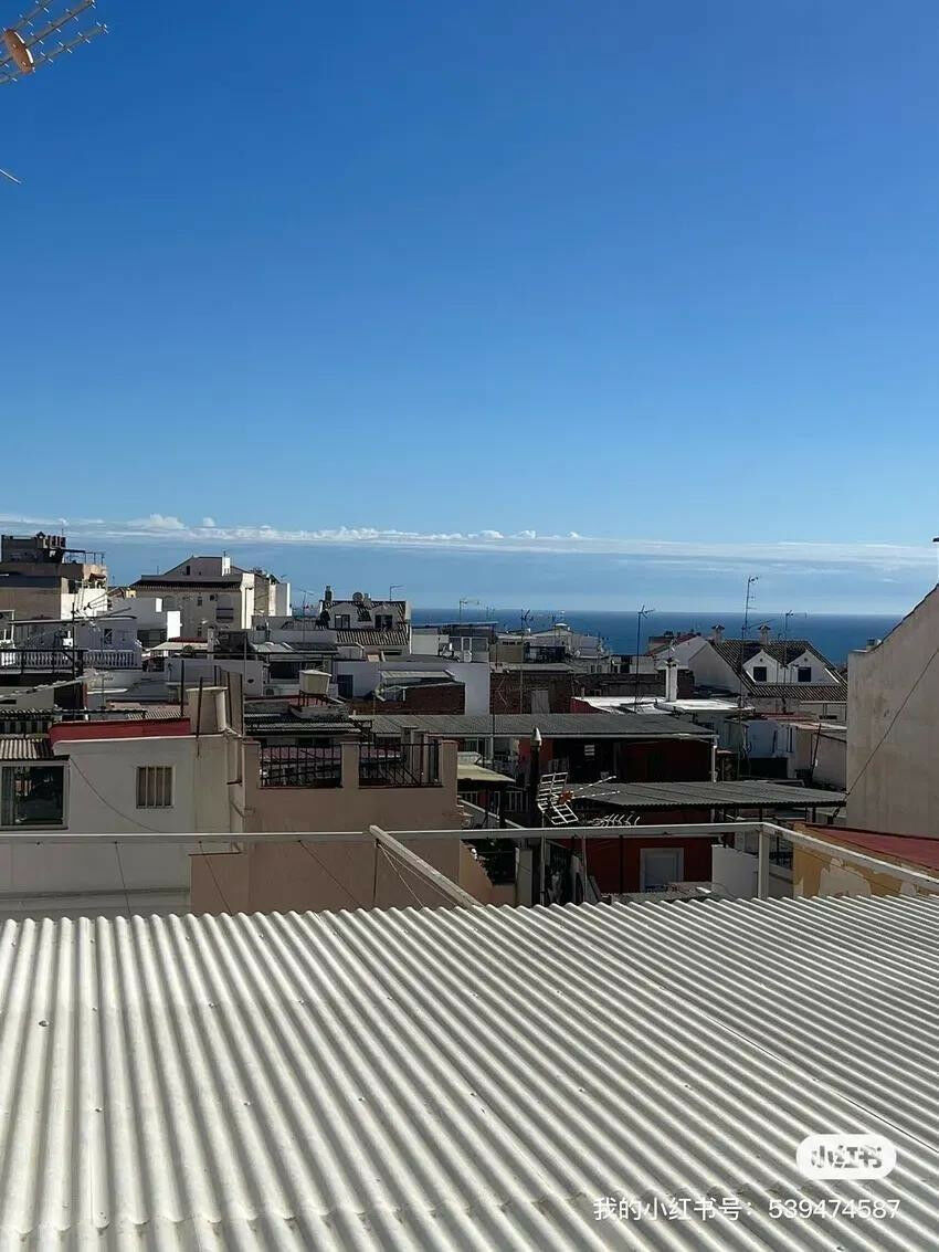 Detached Villa Benalmadena Málaga - image 3