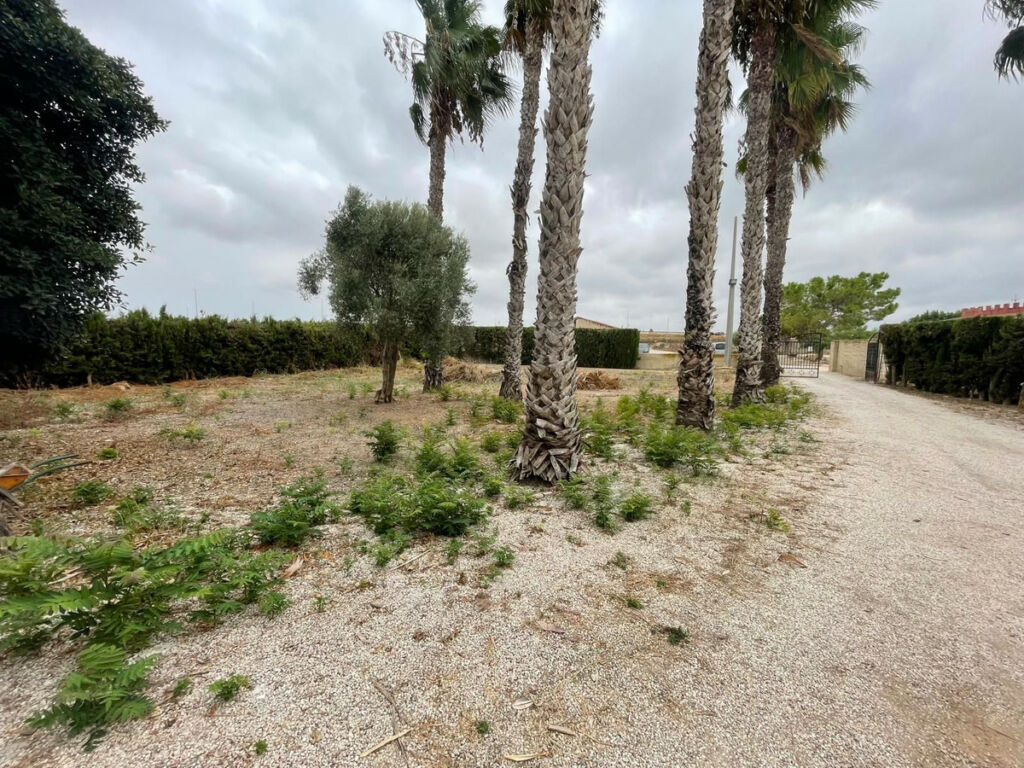 Detached Villa Daya Vieja Alicante - image 3