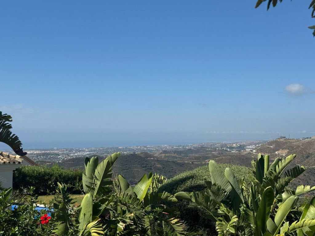 Detached Villa Istán Málaga - image 3