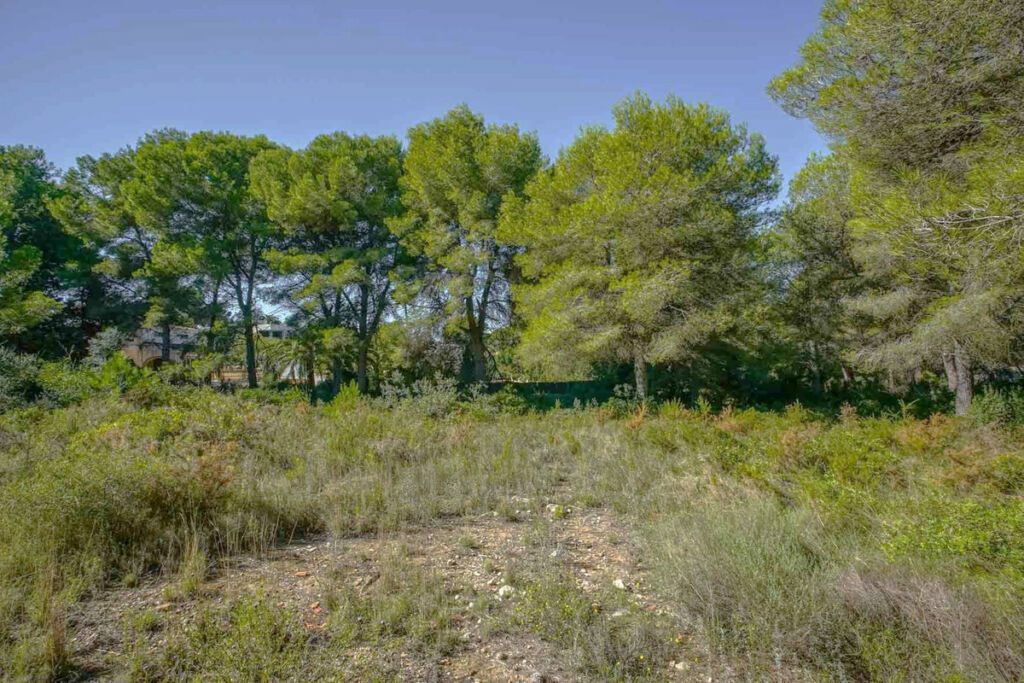 Residential Plot Javea Alicante - image 3