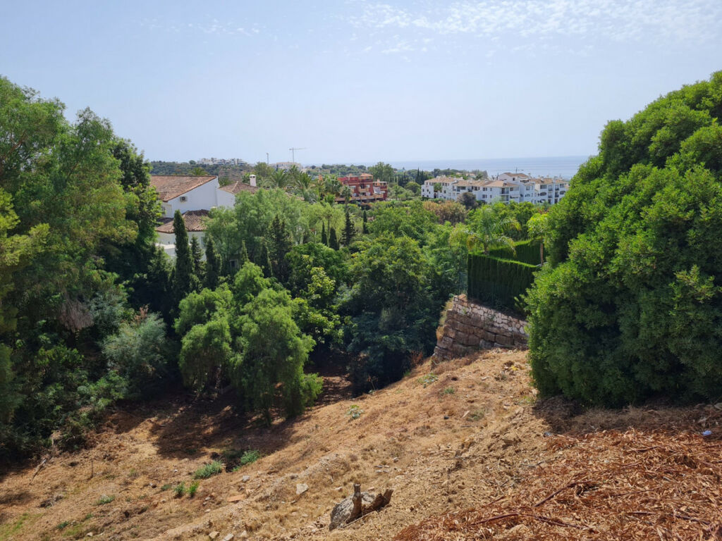 Land Hacienda Las Chapas Málaga - image 3