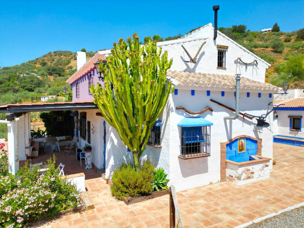 Detached Villa Riogordo Málaga - image 3
