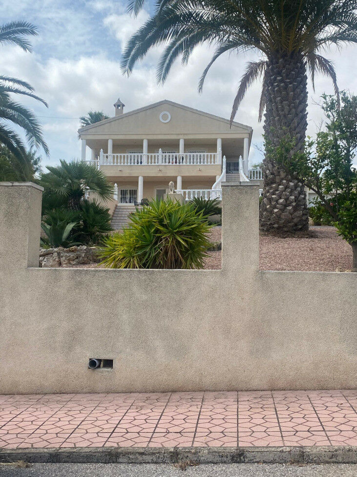 Detached Villa Algorfa Alicante - image 3