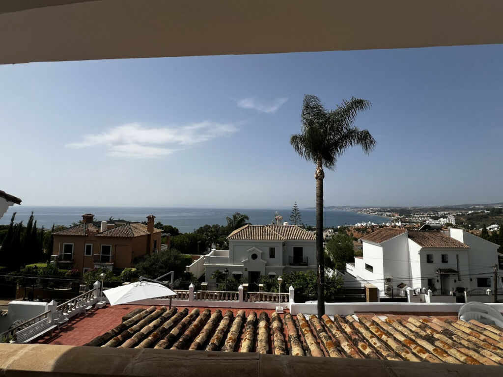 Detached Villa Estepona Málaga - image 3