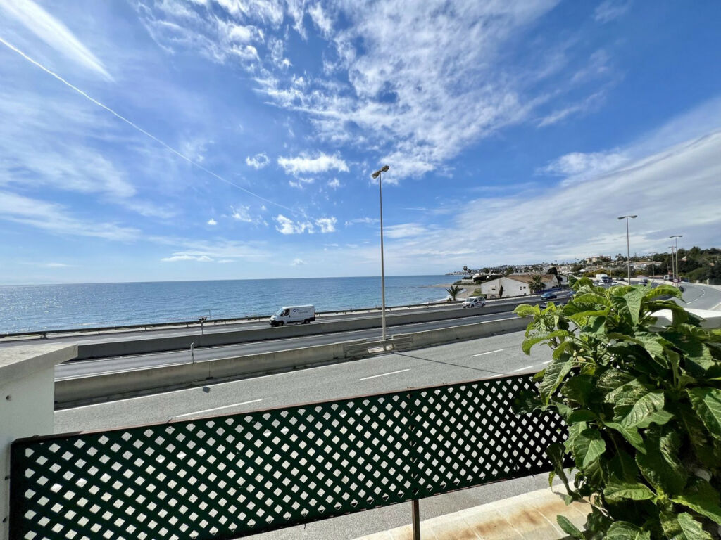 Detached Villa El Chaparral Málaga - image 30