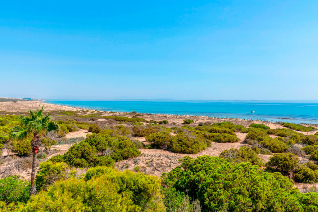 Penthouse La Mata Alicante - image 30