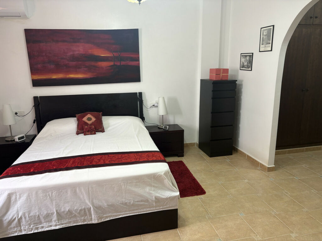 Detached Villa Algorfa Alicante - image 30