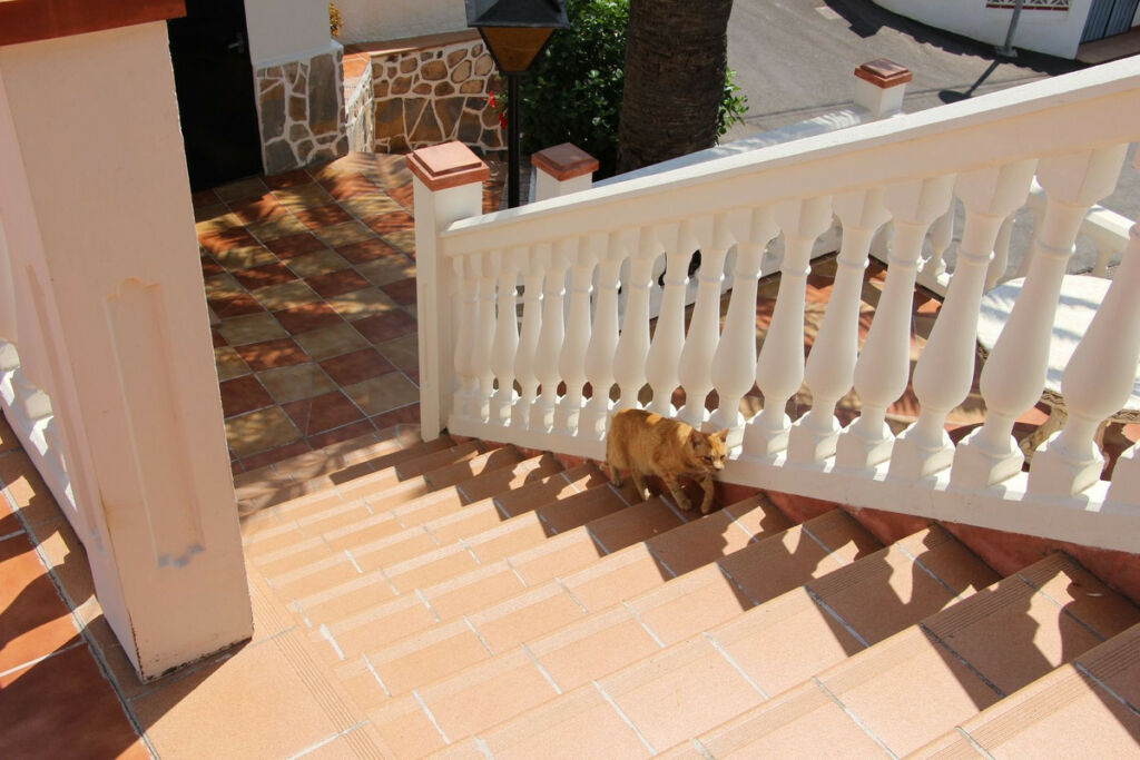 Detached Villa Coín Málaga - image 31