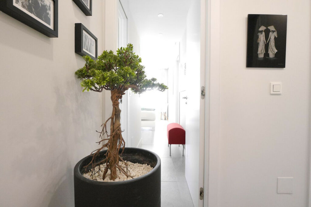 Middle Floor Apartment Cabopino Málaga - image 30