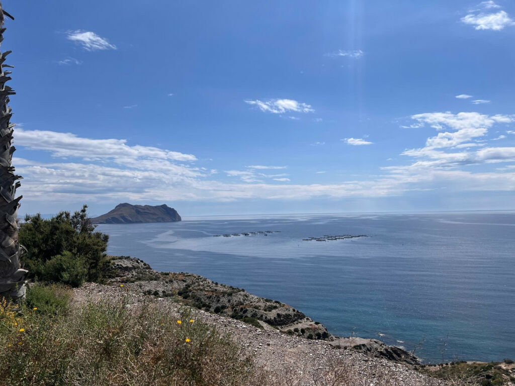 Detached Villa Aguilas Murcia - image 37