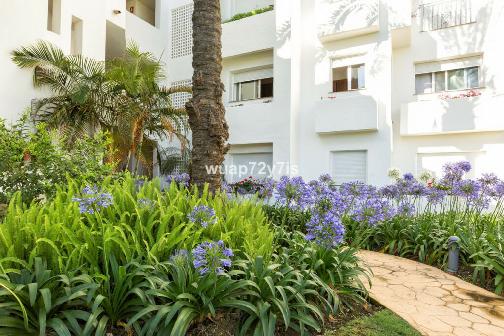 Penthouse Costalita Málaga - image 31