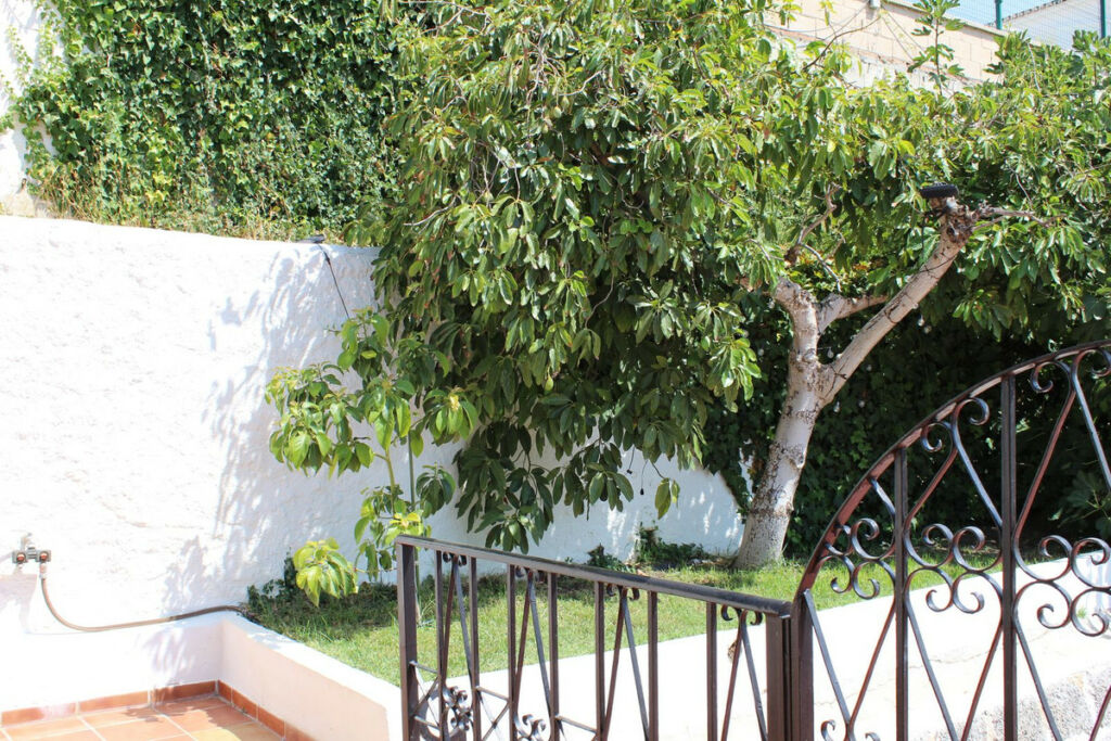Detached Villa Coín Málaga - image 32