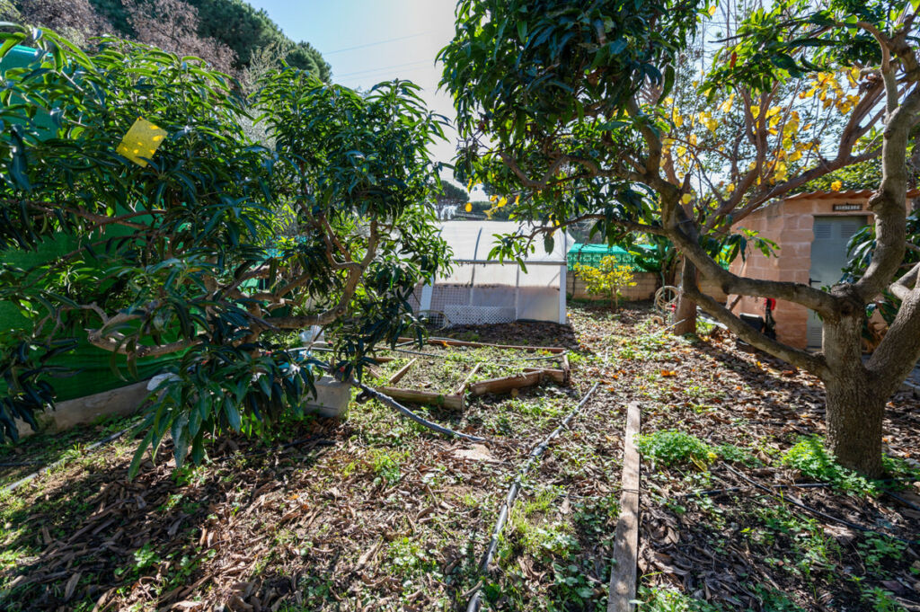 Detached Villa Las Chapas Málaga - image 32