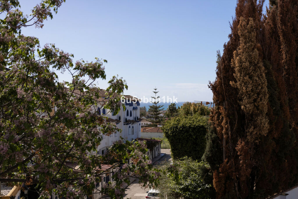 Detached Villa San Pedro de Alcántara Málaga - image 33