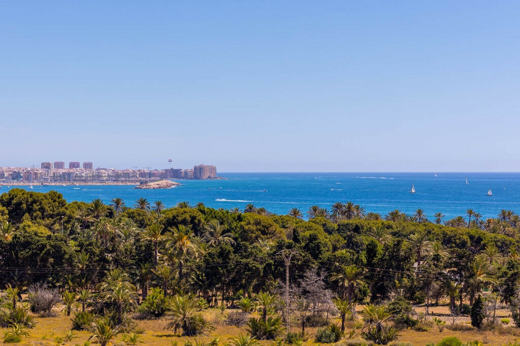 Middle Floor Apartment Punta Prima Alicante - image 33