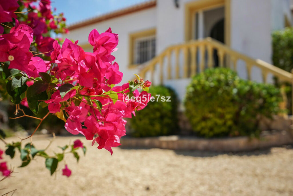 Detached Villa Javea Alicante - image 33