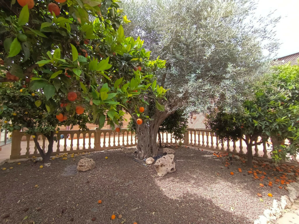 Detached Villa Lorca Murcia - image 33