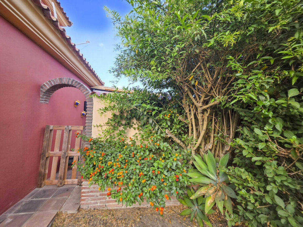 Detached Villa Guadacorte Cádiz - image 33