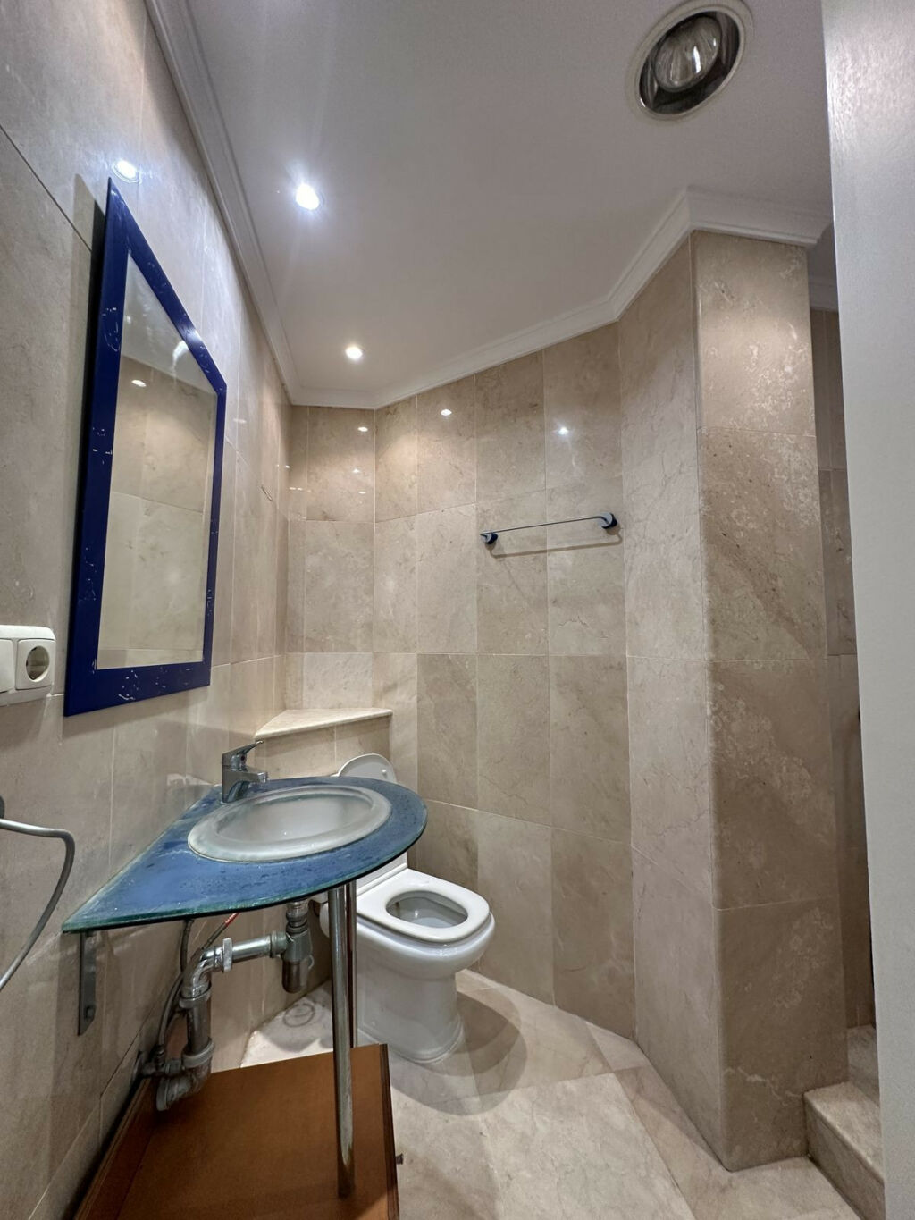 Detached Villa Elviria Málaga - image 33