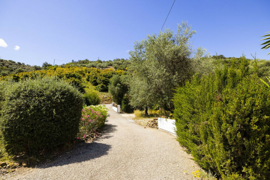 Detached Villa Comares Málaga - image 34